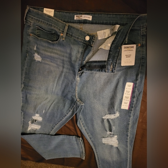 Levi - Picture 8 of 11